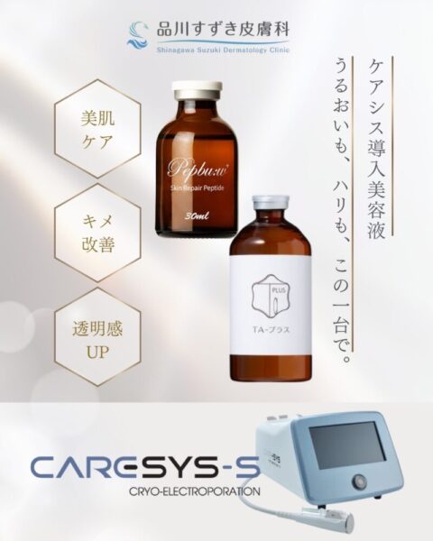 ケアシスを導入しました
